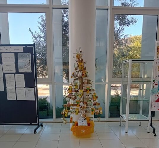 Árvore no Átrio da Escola Básica e Secundária Dr. Manuel Fernandes