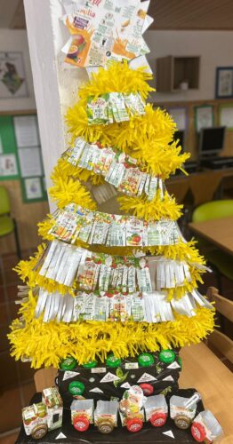 Cuidar hoje para florescer amanhã