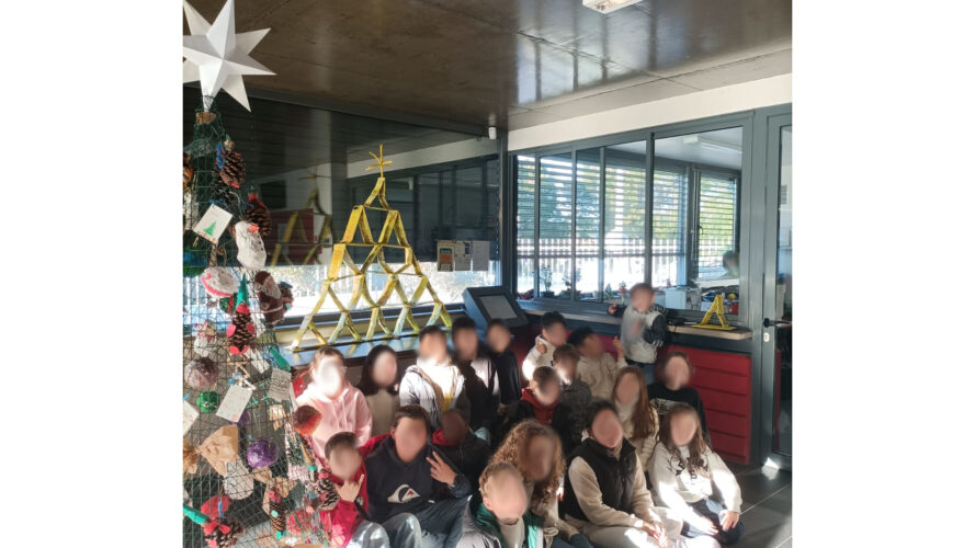 A turma do 5º A junto à árvore construída