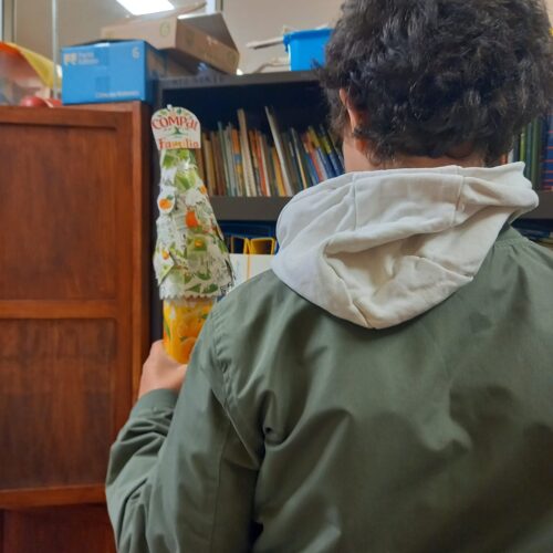 Um dos alunos do clube Eco-Escolas com a árvore de Natal.