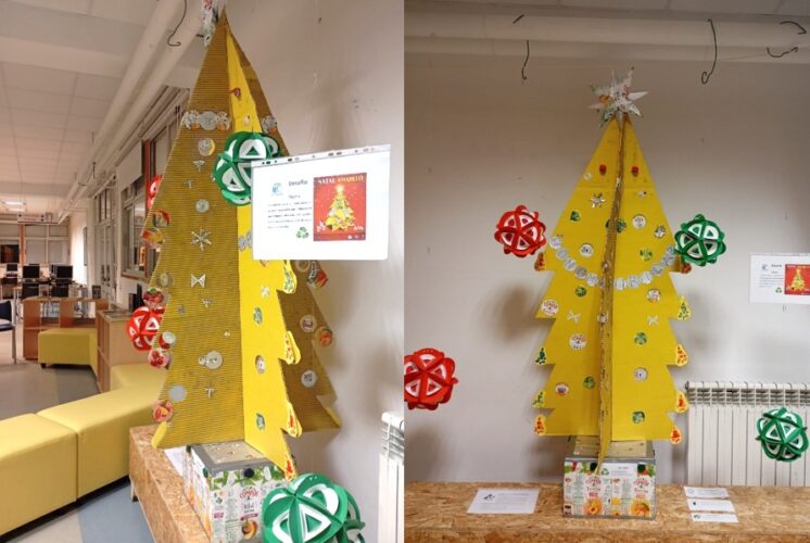 Trabalho Final na Biblioteca