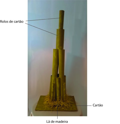 Início da construção da árvore 5.º ano.