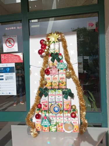 O trabalho finalizado e apresentado a toda a comunidade educativa.