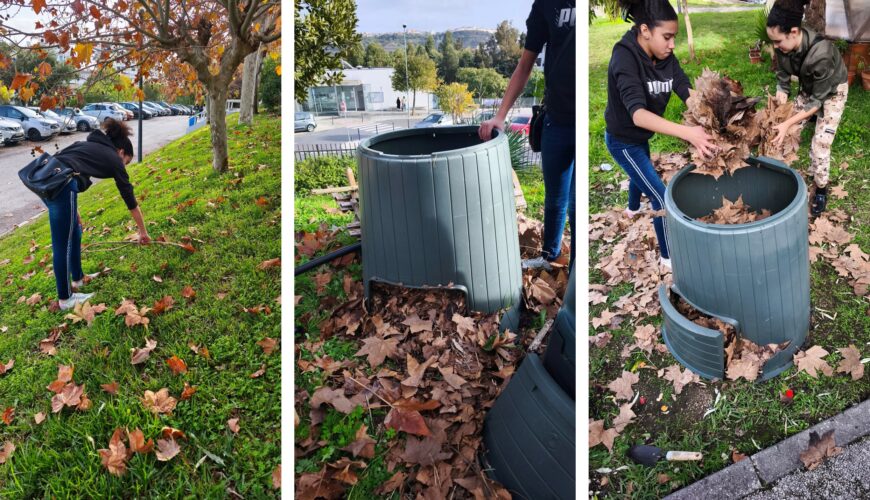 Processo de construção da árvore ecológica de Natal (etapa 1)