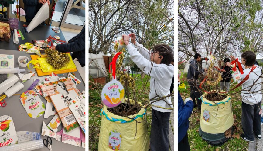Processo de construção da árvore ecológica de Natal (etapa 3)