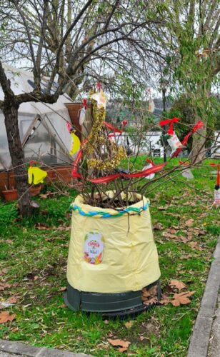 Árvore ecológica de Natal no exterior, próxima da estufa e da futura horta.
