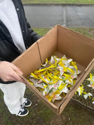 Com todas as estrelas preparadas, os alunos deslocaram-se ao local de exposição da árvore, para a sua decoração.