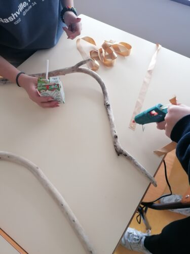 Organização dos troncos e das fitas.