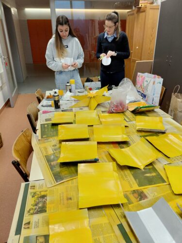 Preparação das embalagens!