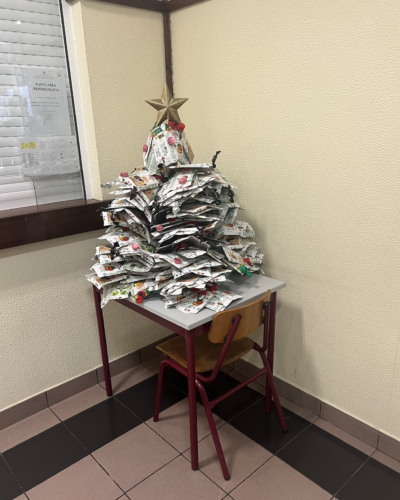 Árvore à entrada da escola.