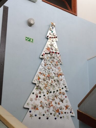 Árvore colocada no espaço escolar (parede de um dos pavilhões).