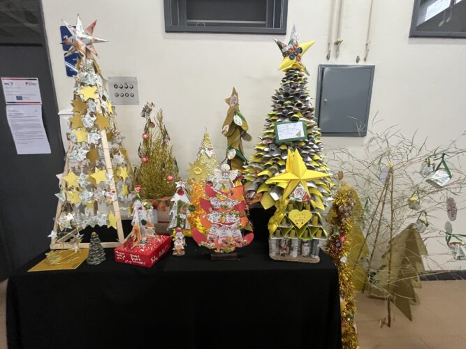 Exposição na biblioteca de todas as árvores elaboradas.