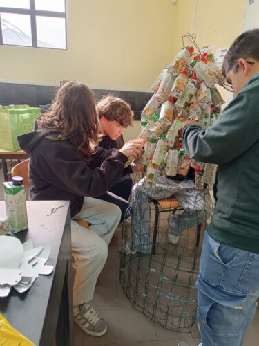 Copa da Árvore de Natal