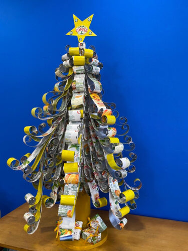 árvore no CACI Camacha