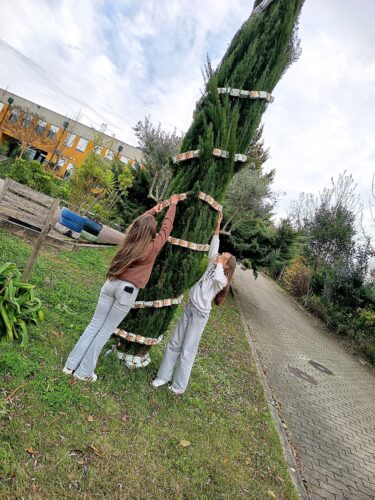 Colocação de enfeites nas árvores do exterior da escola