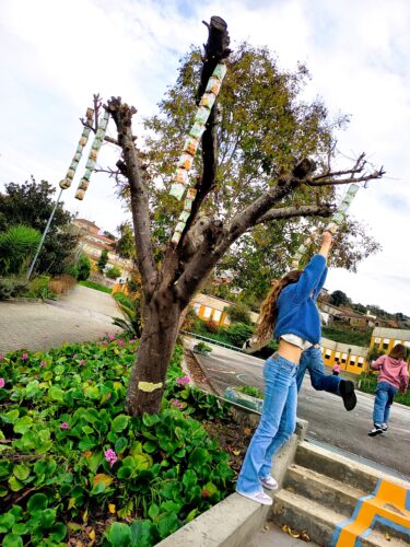 Colocação de enfeites nas árvores do exterior da escola