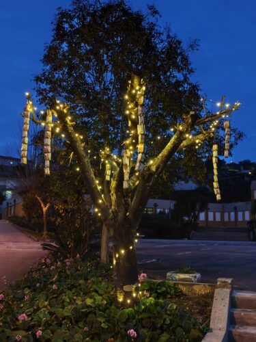 árvore decorada à noite