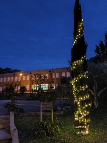 árvore natal à noite