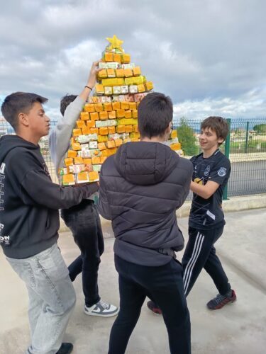 transporte da árvore.jpg