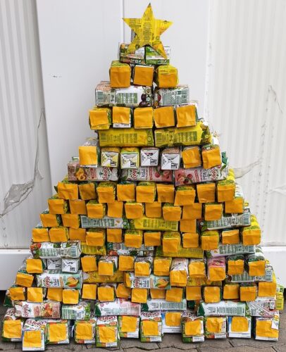 árvore à entrada da escola.jpg